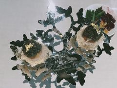 -厨魔