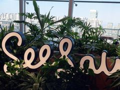 -Seesaw Coffee(朝阳大悦城店)