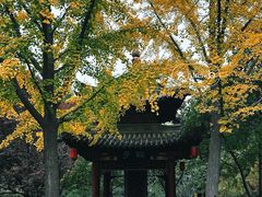 -碑林公园