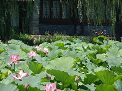 -承德避暑山庄景区