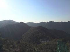 -1点点(同曦假日百货店)