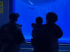 -多彩贵州城极地海洋世界