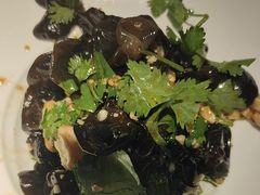 -洞庭家宴·头牌甲鱼(广渠门店)
