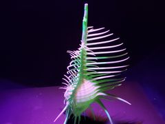 -石林冰雪海洋世界