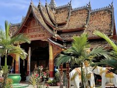 -西双版纳原始森林公园