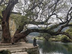 -上坦村