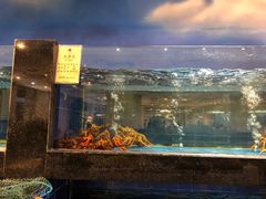 -鹏天阁酒楼·海鲜(红旗店)
