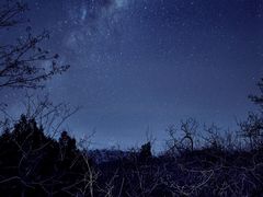 -北京西山国家森林公园