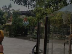 -灵玲国际马戏城