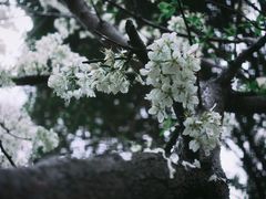 -郑和公园