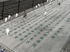 -龙口南山旅游景区
