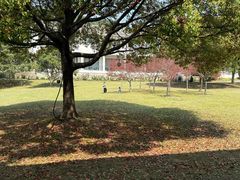 -苏州环秀晓筑养生度假村