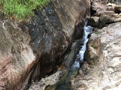 -广州白江湖森林公园