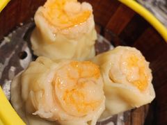 -金香匯晚茶(浑南店)