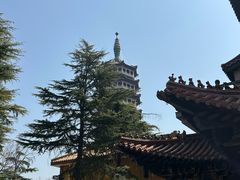 -高旻寺