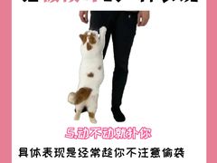 -纳吉亚猫专科动物诊疗中心(蒋宅口分院)