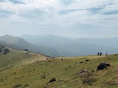 -大姆山草场