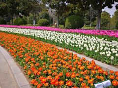 -上海鲜花港