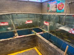 水产区-野山舂·贵州现舂酸汤火锅(鸿通城店)