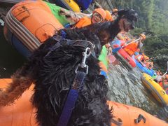 -安吉龙王山峡谷漂流