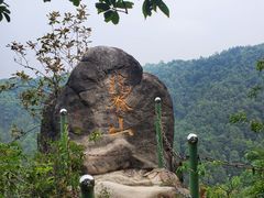 -南山植物园