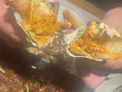 -杨氏青龙虾·羊蝎子(金盛路总店)