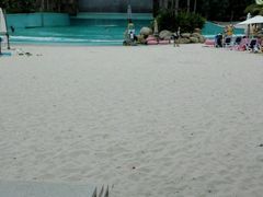 -亚马逊丛林水乐园