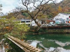 -四明山国家森林公园