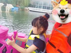 -张店儿童公园