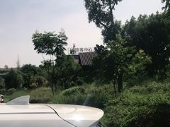 -龙天小镇