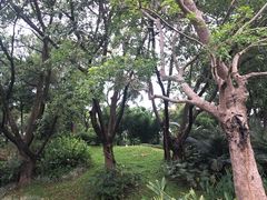-云溪植物园