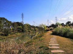 -上海长兴岛郊野公园