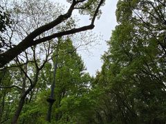 -岳麓山风景名胜区