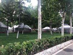 -九十九顶毡房(阜石路店)