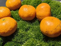 -会仙楼(金融街店)