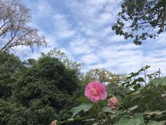 -杭州花家山庄