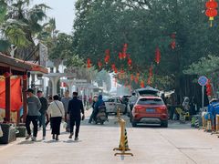 -大湾区中央湿地公园-十九涌