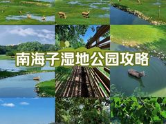 -南海子公园