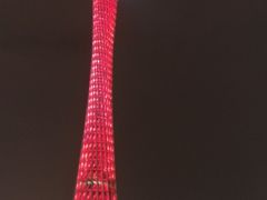 -珠江夜游广州塔·中大码头