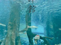 -福州罗源湾海洋世界旅游区