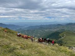 -灵山