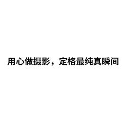 点击看大图 -大树儿童摄影