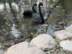 -北京麋鹿生态实验中心