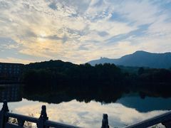 -杭州半山国家森林公园