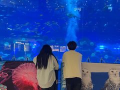 -成都浩海立方海洋公园