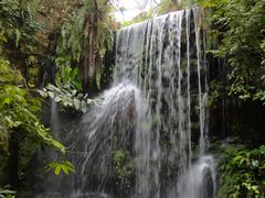 -华南国家植物园-售票处