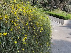 -雨花台烈士纪念馆