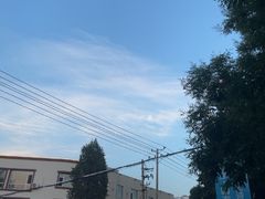-仙螺岛海鲜自助餐厅(总店)