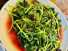 时令蔬菜（米苋）-双塔老饭店