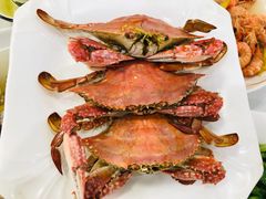 -芦潮港集贸市场